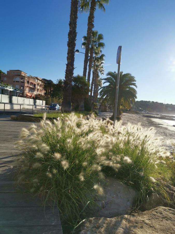 Ofdl B T1 Bandol - Briotine Foyalais Appartement Buitenkant foto