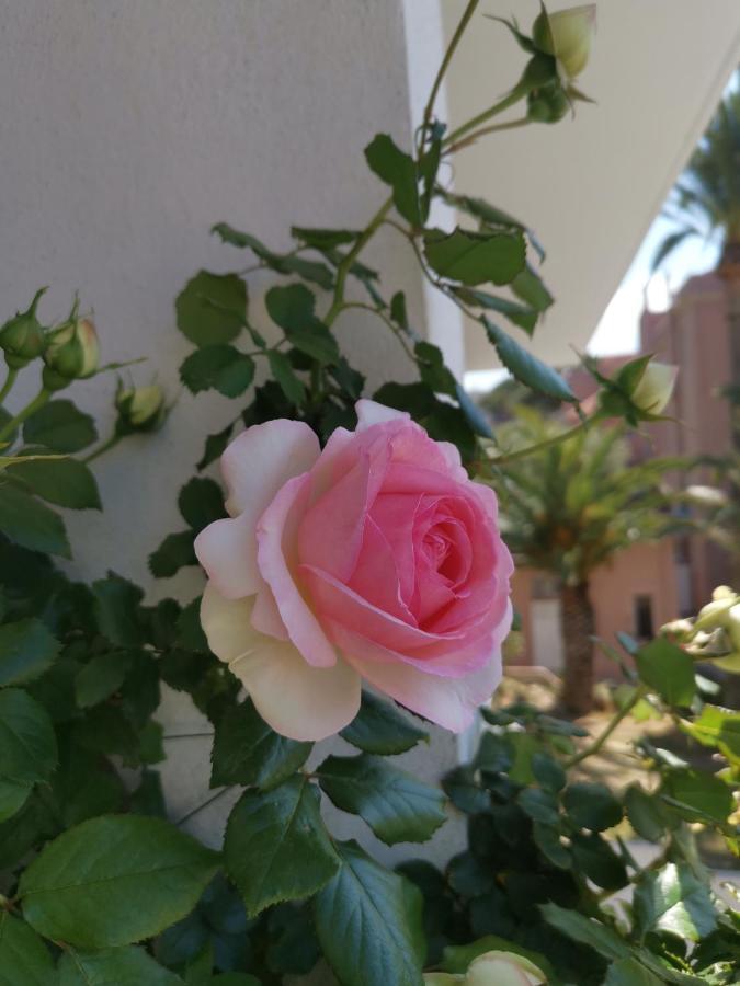 Ofdl B T1 Bandol - Briotine Foyalais Appartement Buitenkant foto